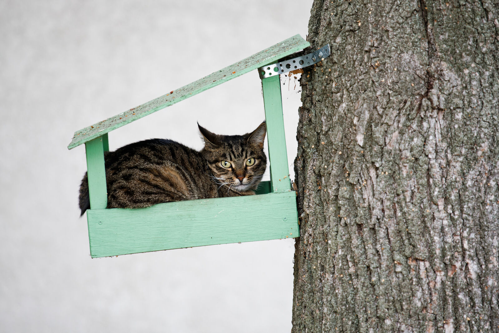 Canon EOS-1D Mark III sample photo