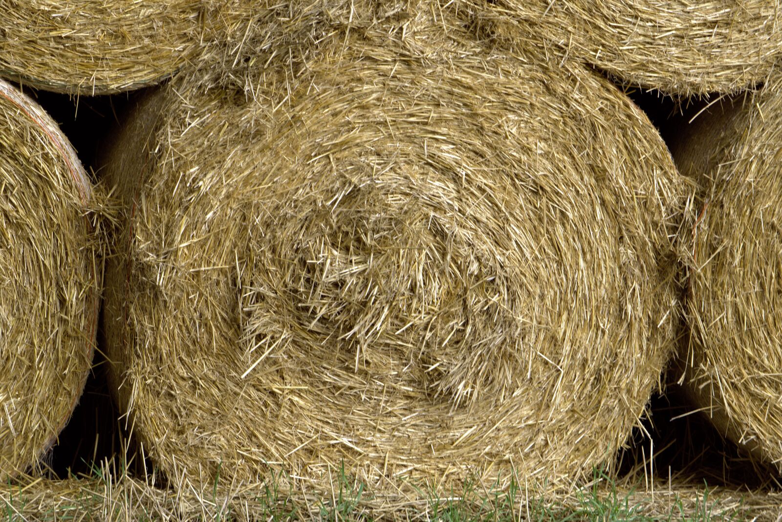 Nikon D5600 sample photo. Straw, round bales, straw photography