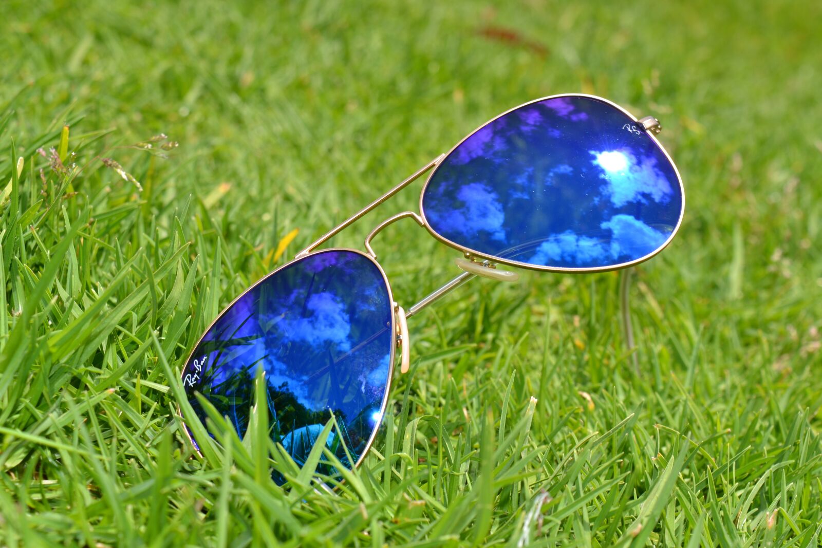 Nikon D3100 sample photo. Lawn, summer, nature photography