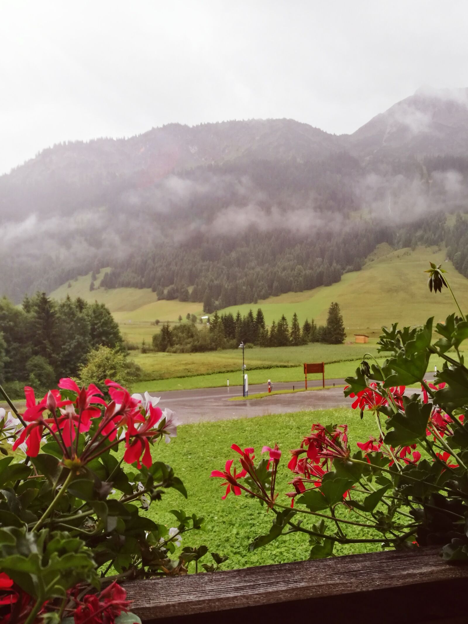 HUAWEI P9 sample photo. Tyrol, flowers, austria photography