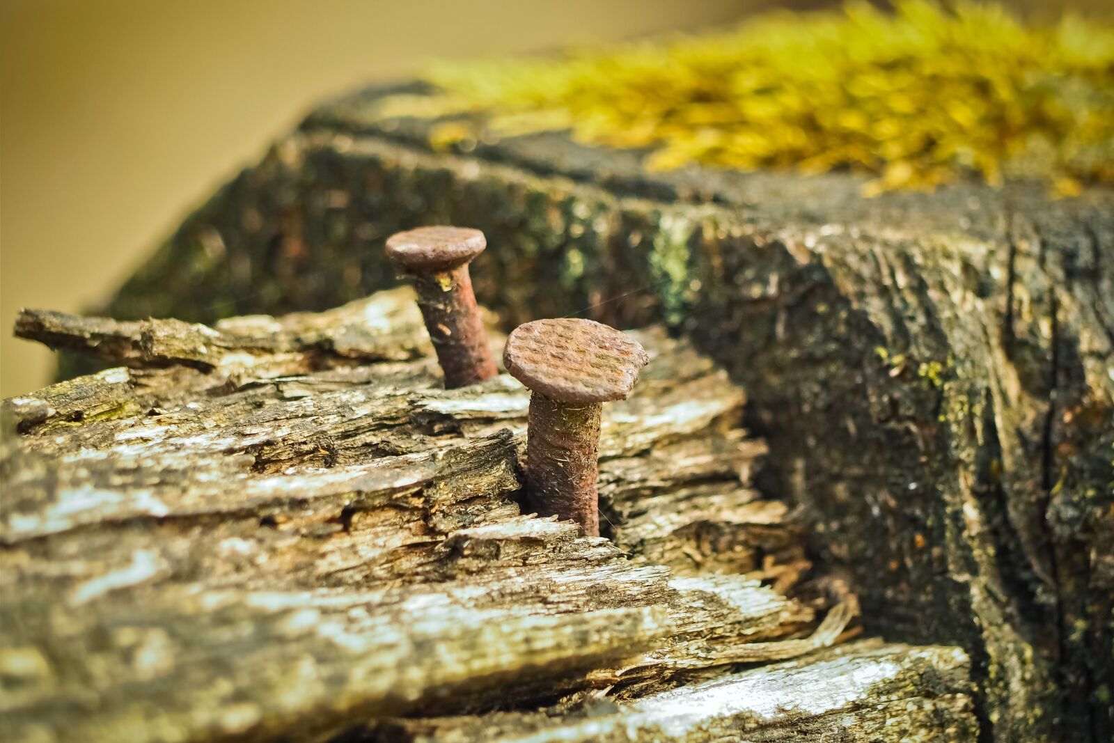 Olympus OM-D E-M10 sample photo. Fence, wood fence, wood photography