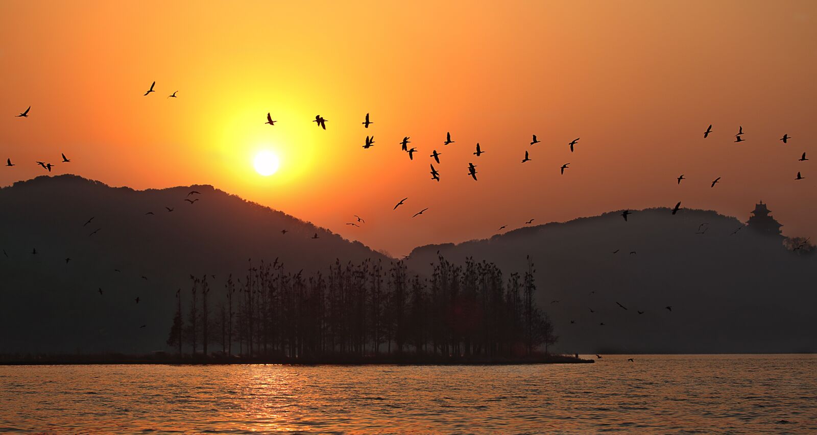 Canon EF 100-400mm F4.5-5.6L IS USM sample photo. Sunset, east lake, wuhan photography