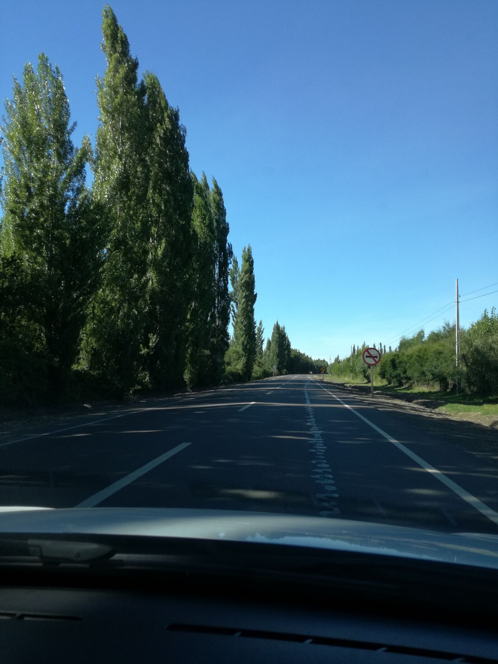 HUAWEI P9 LITE sample photo. Landscape, road, trees photography
