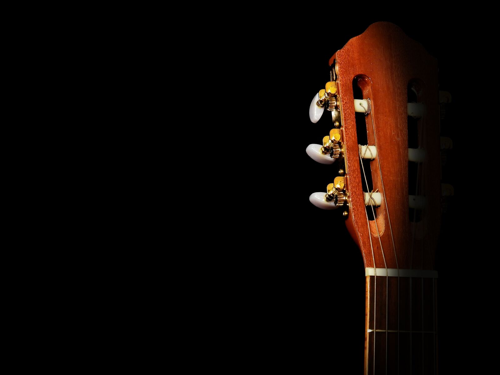 Nikon Coolpix P900 sample photo. Guitar, instrument, music photography