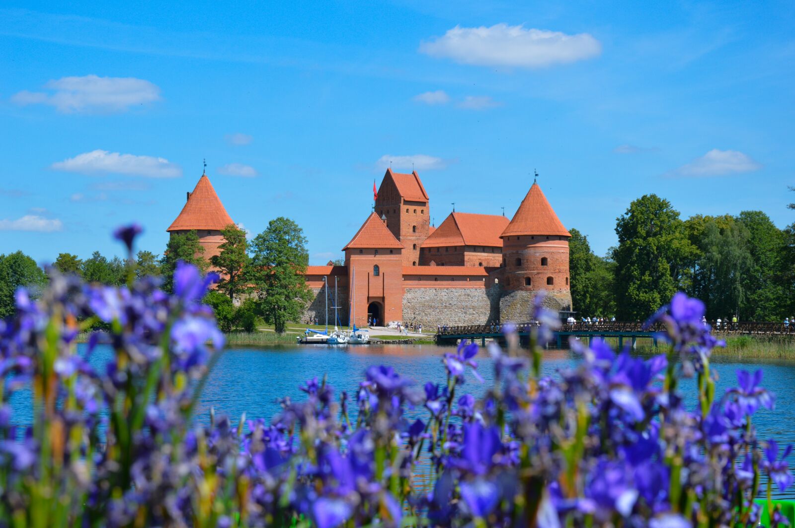 Nikon D3200 sample photo. Castle, flowers, water photography