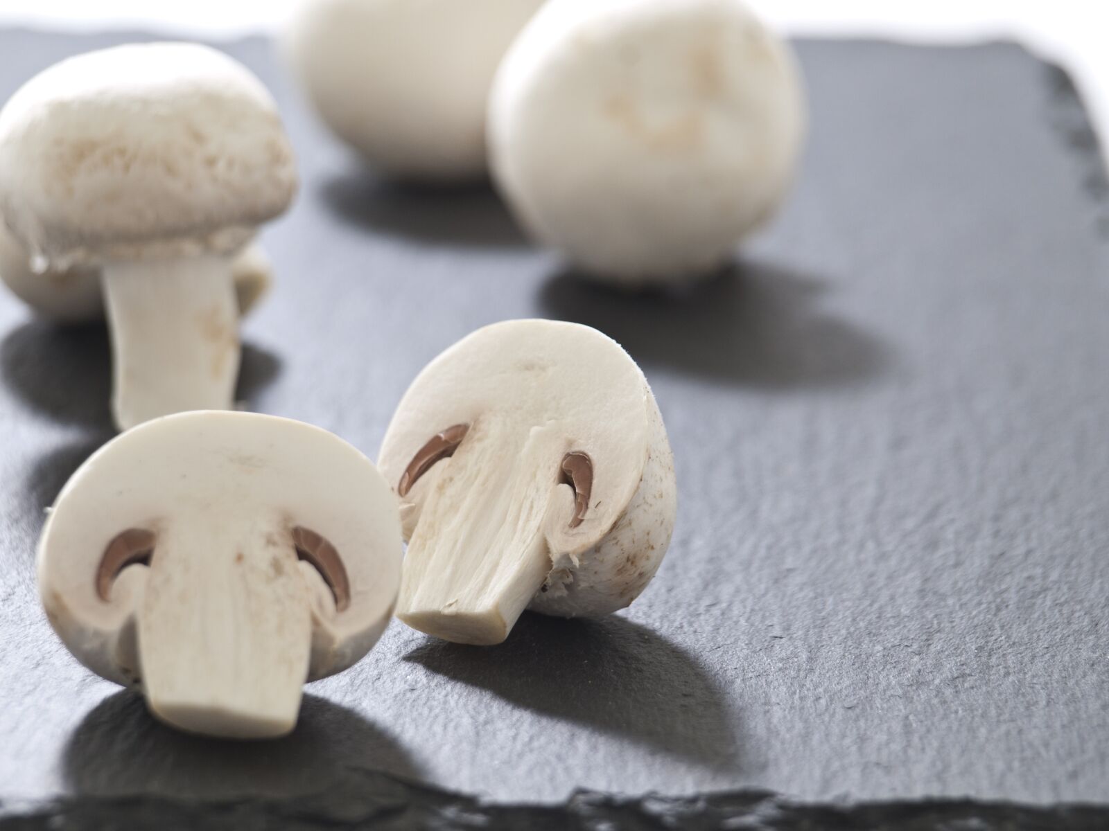 Olympus E-420 (EVOLT E-420) sample photo. Mushrooms, meadow, delicious photography