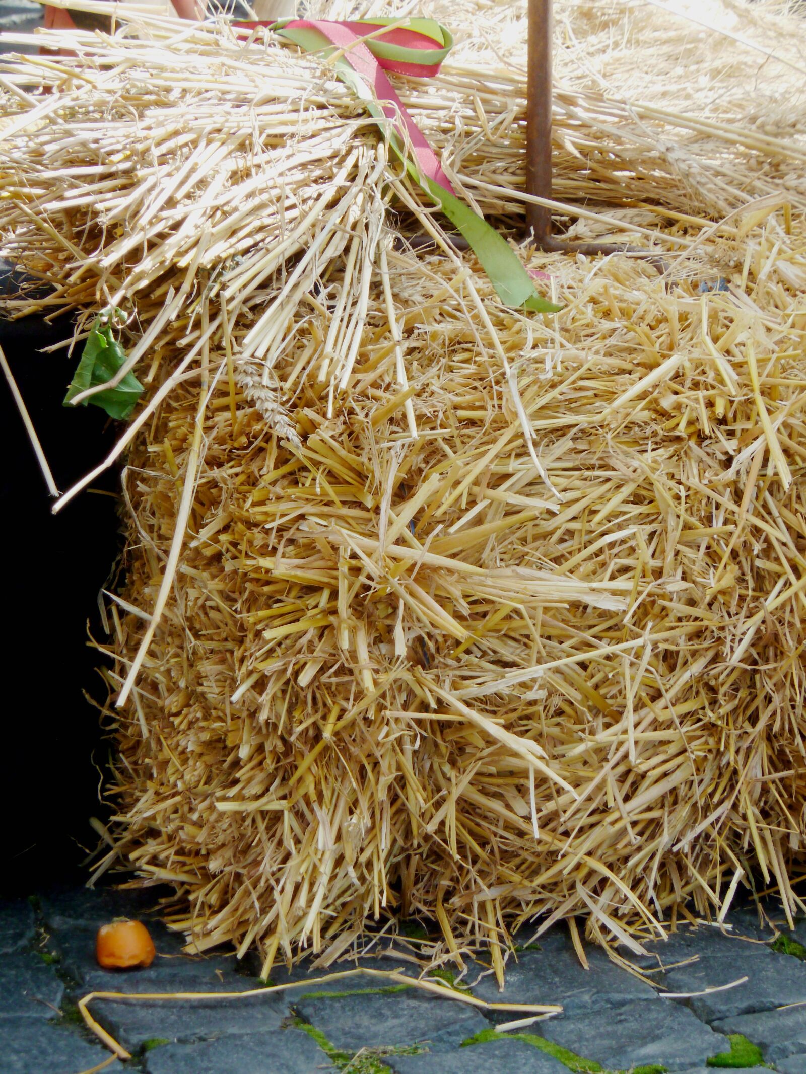 Panasonic DMC-TZ7 sample photo. Hay, autumn, straw photography