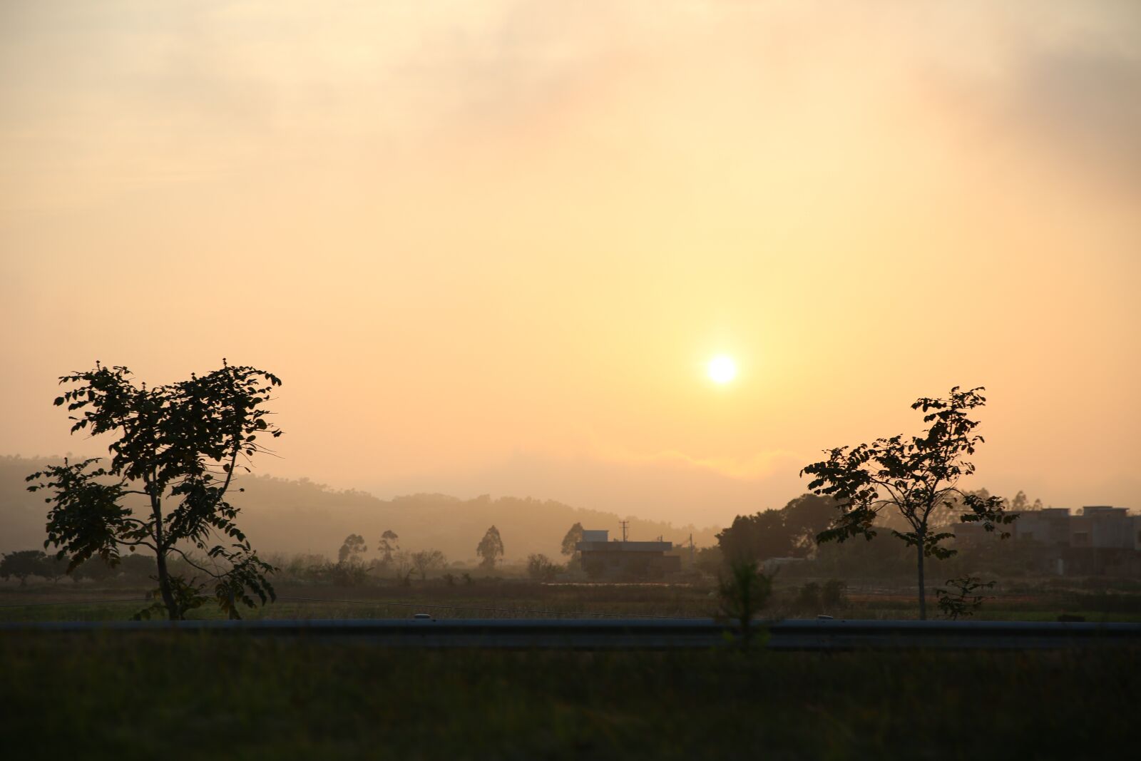 Canon EF 24-70mm F2.8L II USM sample photo. Tree, dawn, nature photography