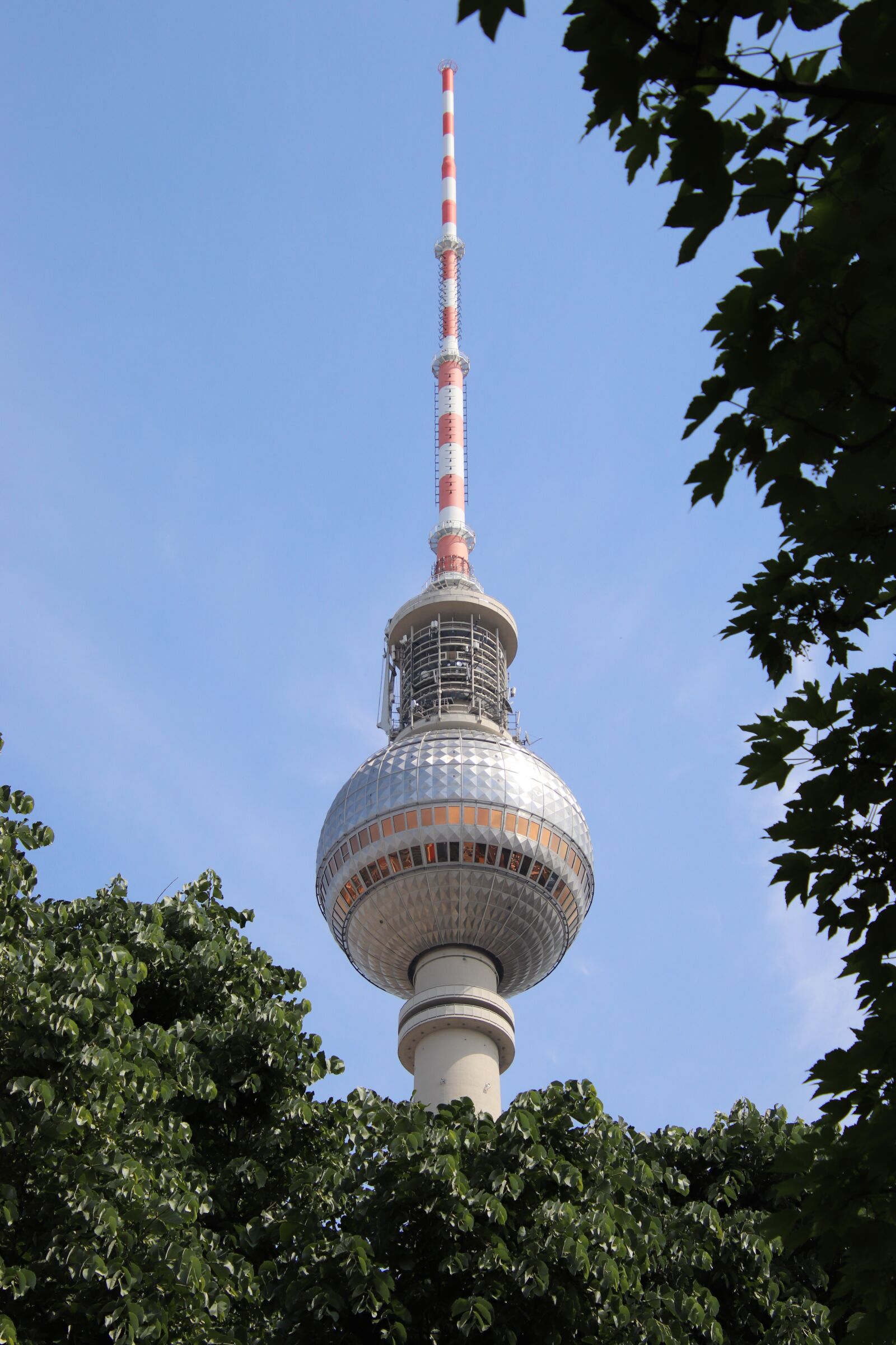 Canon EOS 800D (EOS Rebel T7i / EOS Kiss X9i) sample photo. Tv tower, leaves, tree photography