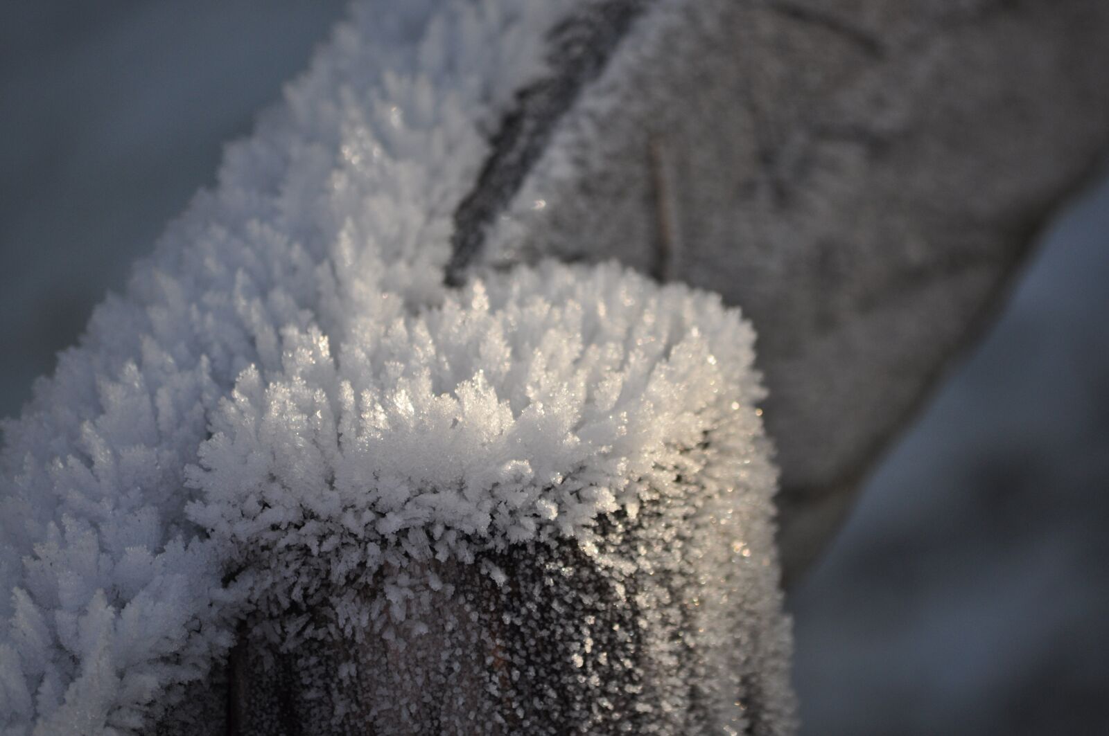 Nikon D5000 sample photo. Crystals, snow, ripe photography