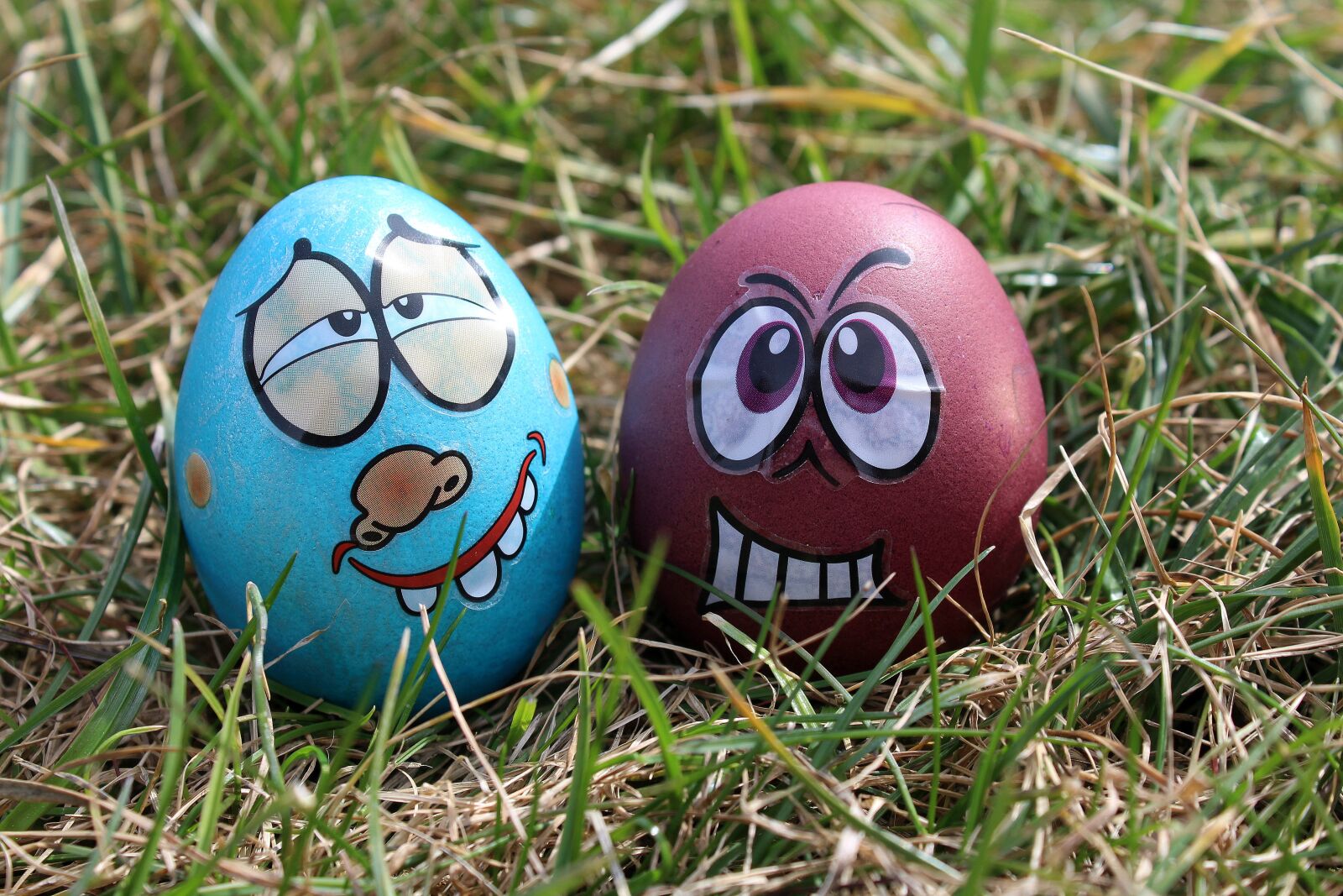 Canon EOS 1200D (EOS Rebel T5 / EOS Kiss X70 / EOS Hi) sample photo. Easter eggs, eggs, para photography