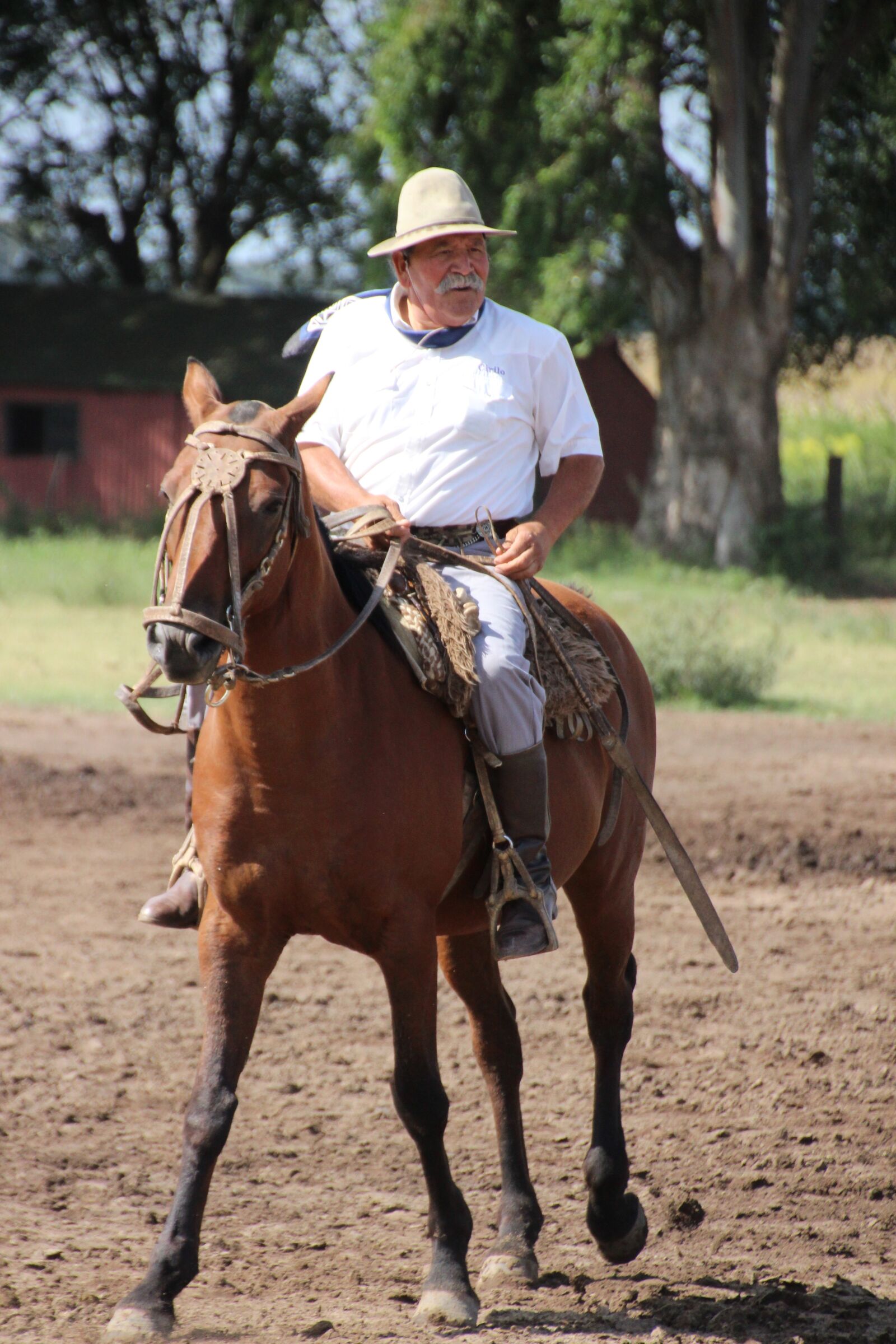 Canon EOS 600D (Rebel EOS T3i / EOS Kiss X5) sample photo. Horse, rider, argentina photography
