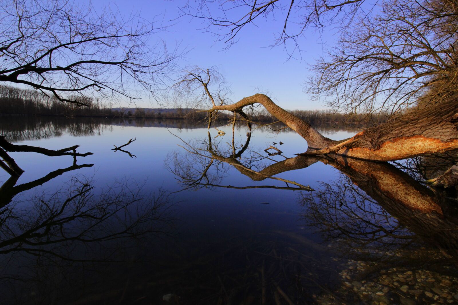 Canon EF-S 10-18mm F4.5–5.6 IS STM sample photo. Water, lake, forest photography