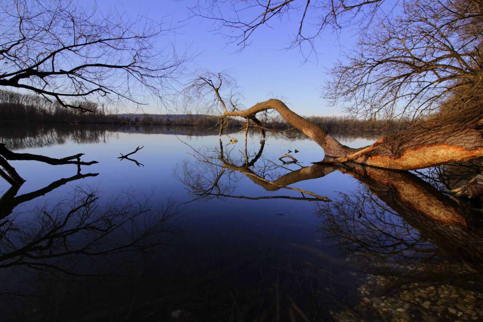 Canon EOS 100D (EOS Rebel SL1 / EOS Kiss X7) sample photo. Water, lake, forest photography