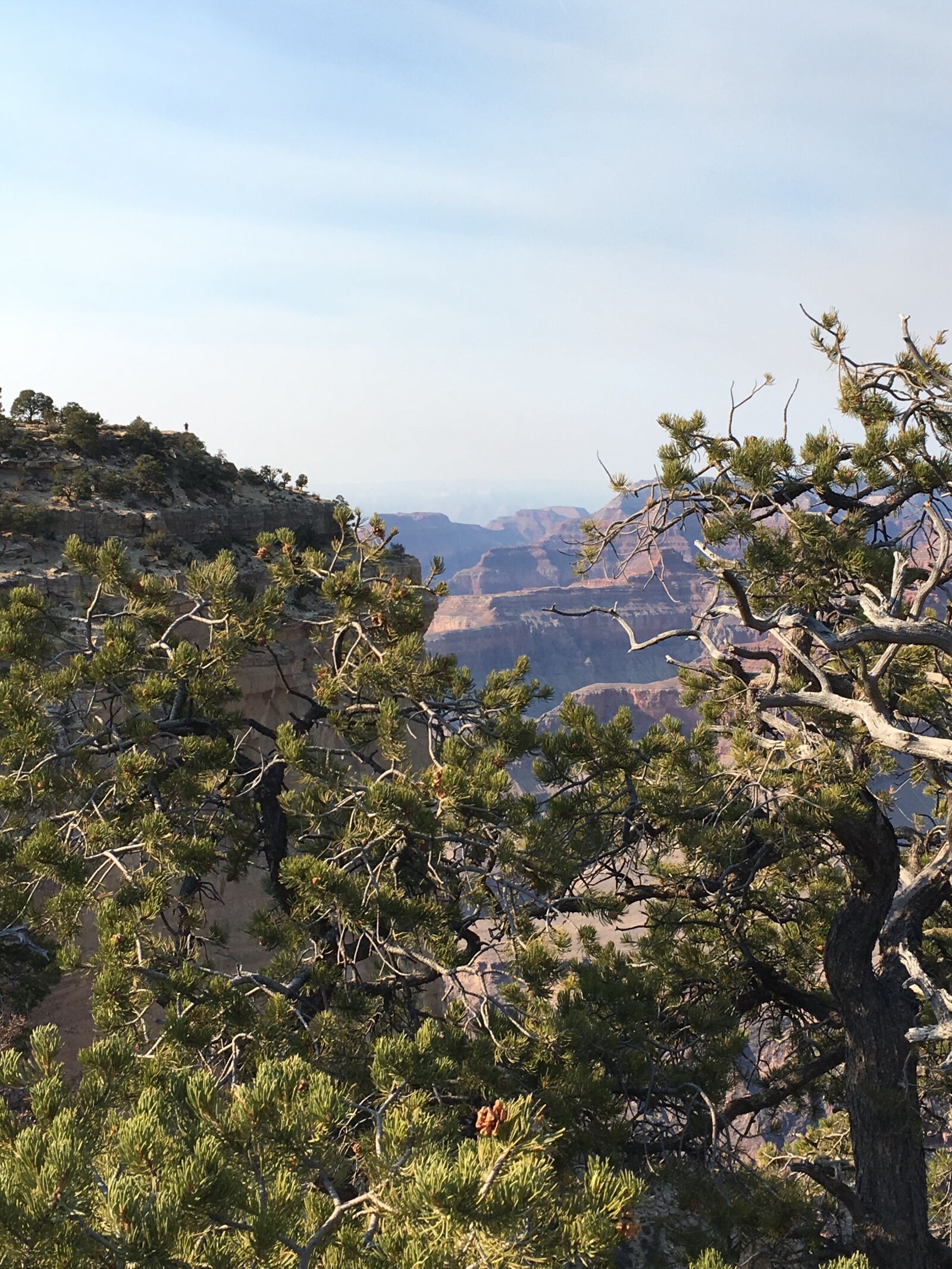 Apple iPhone 6s sample photo. Grand canyon, fall, arizona photography