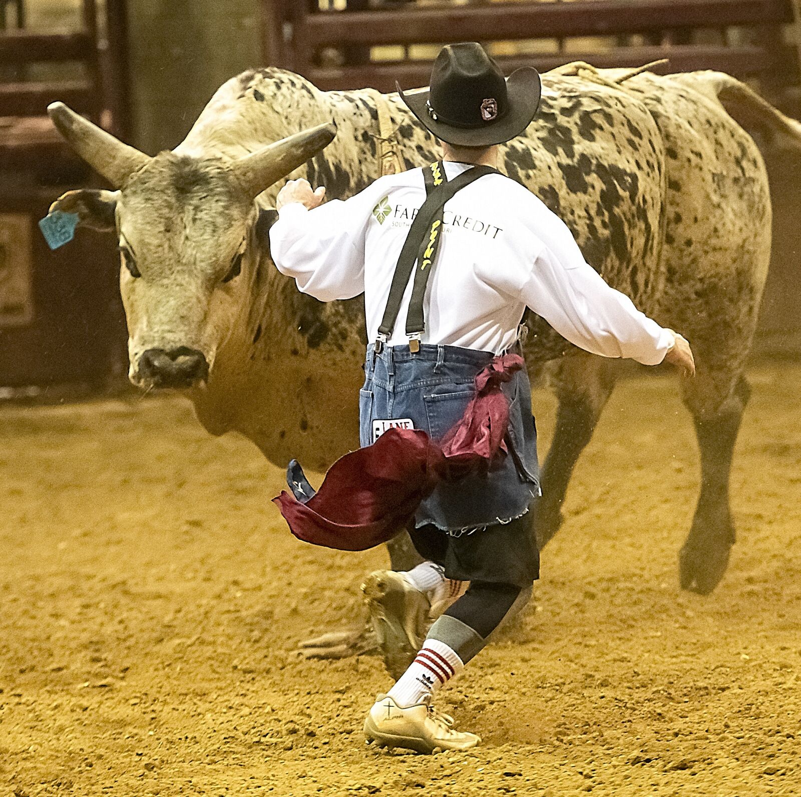 Nikon D850 sample photo. Bull, rodeo, cowboy photography