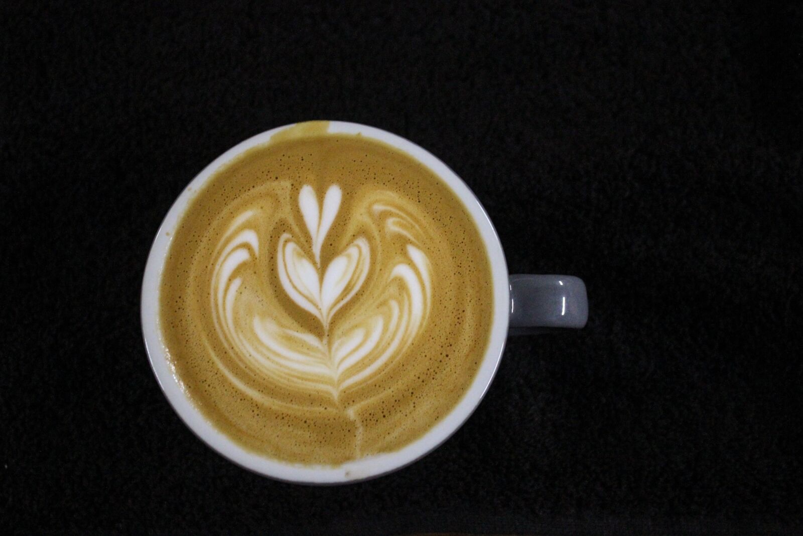 Canon EOS 550D (EOS Rebel T2i / EOS Kiss X4) sample photo. Coffee, gourmet, cream photography