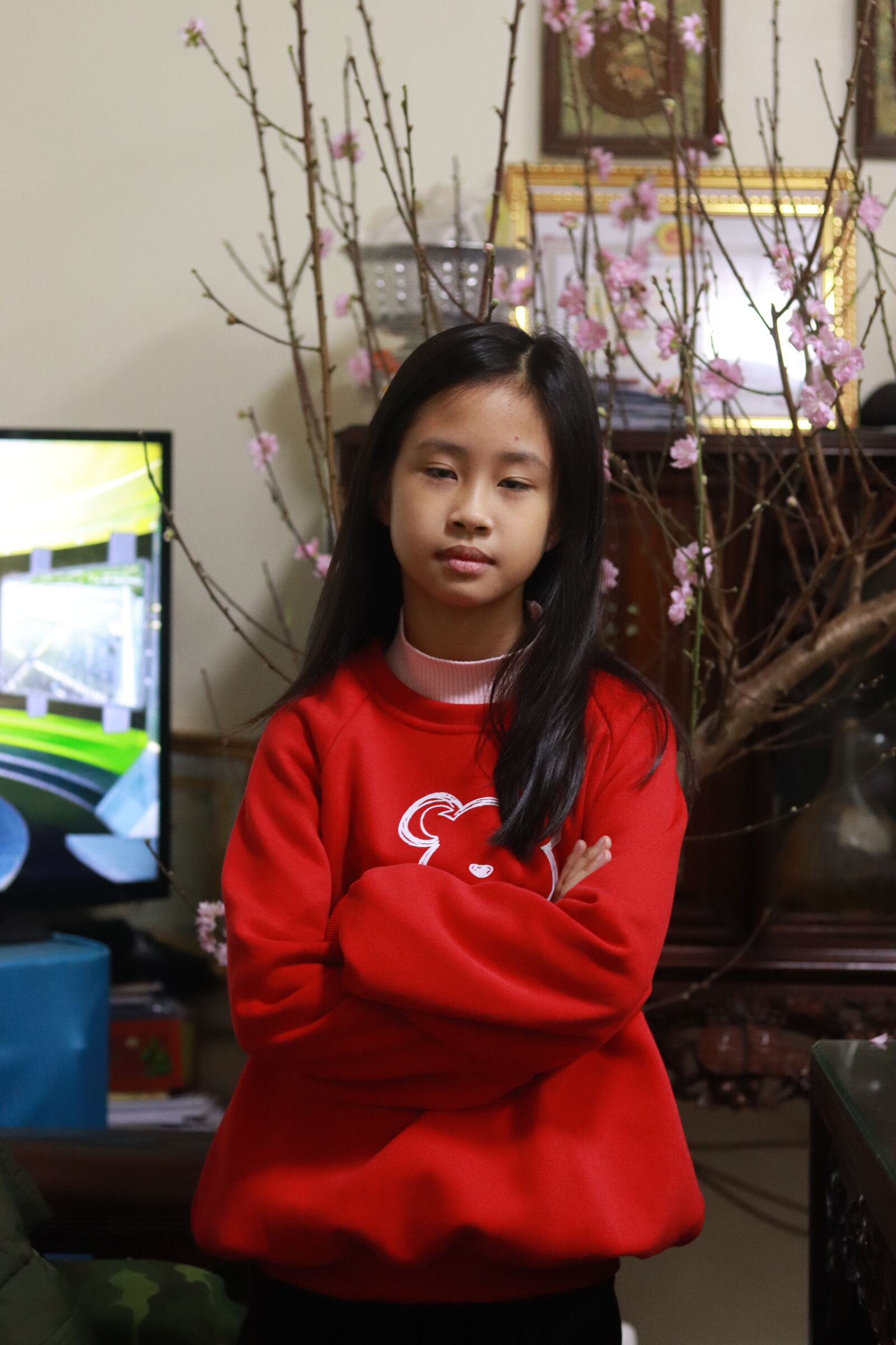Canon EF 50mm F1.8 STM sample photo