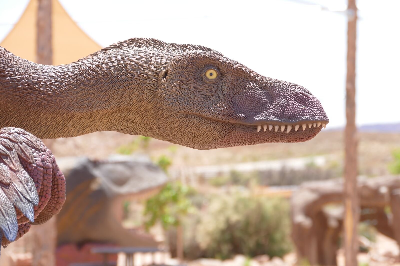 Panasonic Lumix DMC-FZ1000 sample photo. Dinosaur, raptor, velociraptor photography