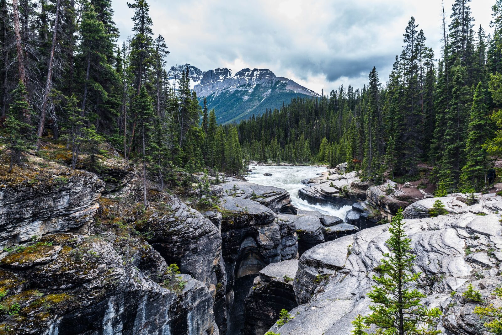Nikon D750 sample photo. Canada, rockies, landscape photography