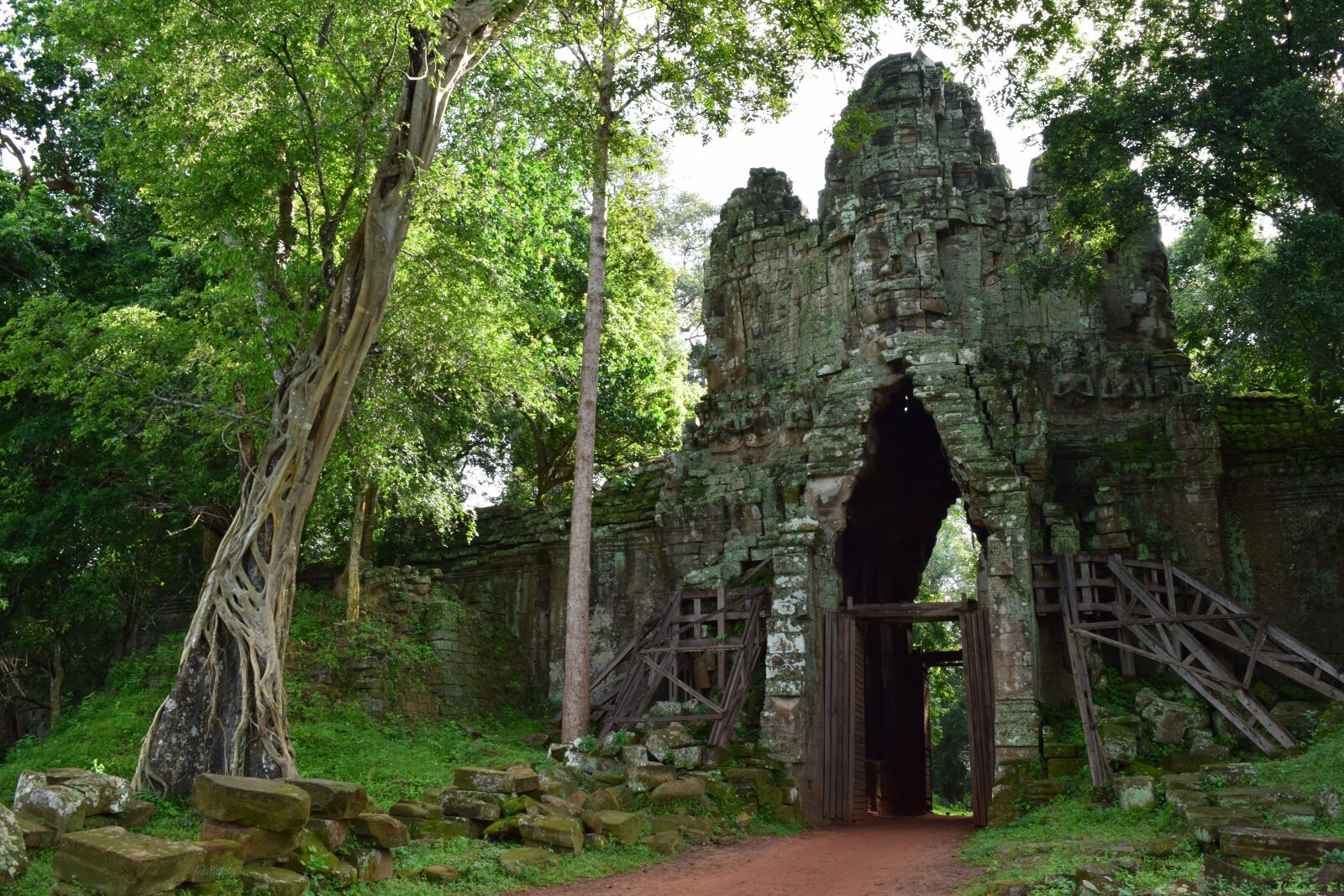 Nikon D3300 sample photo. Cambodia, jungle, goal photography