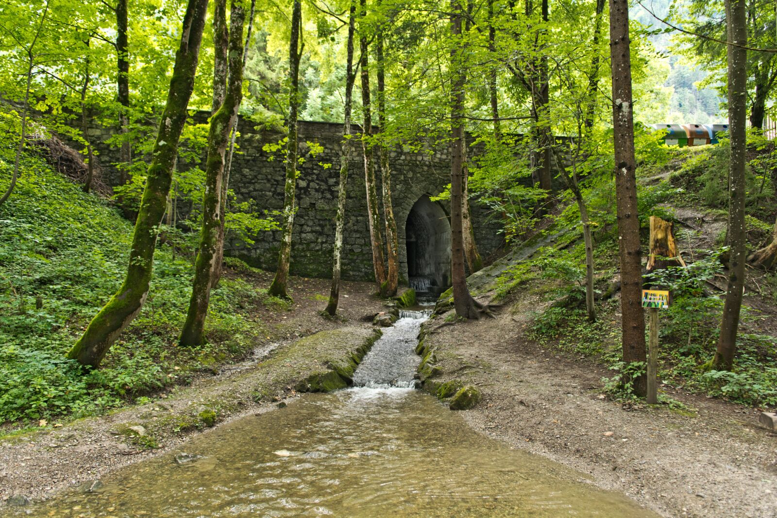 Nikon D5300 sample photo. Wood, landscape, nature photography