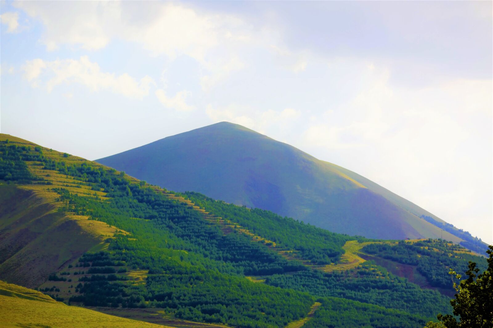 Canon EOS 5D Mark III sample photo. Mountain, forest, taylor photography
