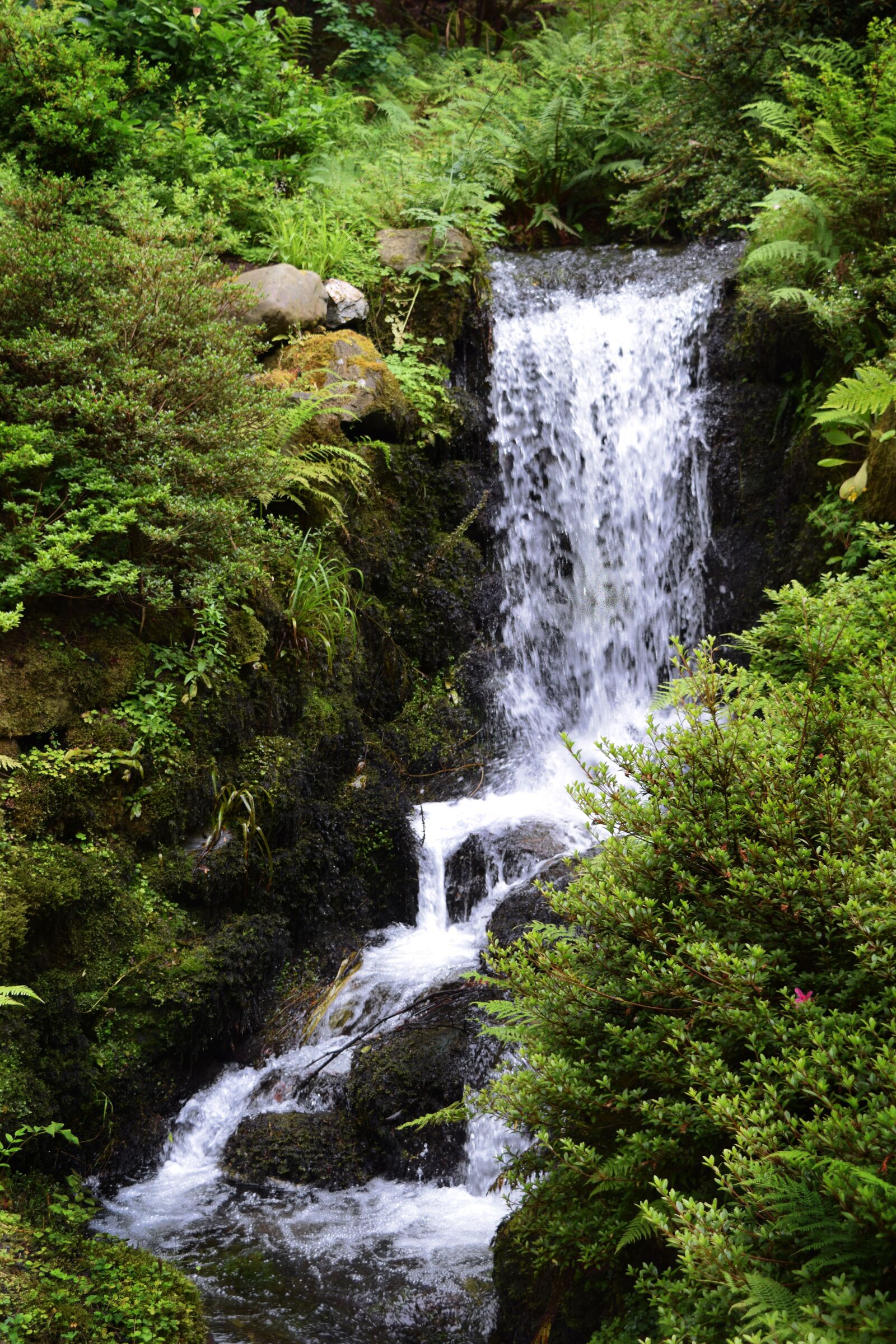 Nikon D3300 sample photo. Waterfall, forest, nature photography