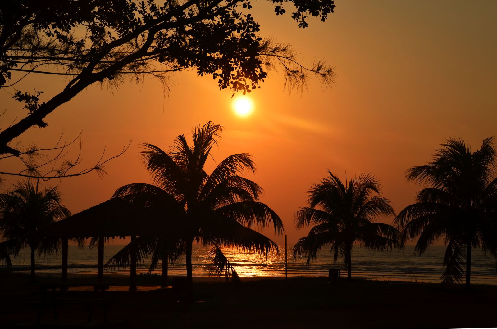Nikon D7000 sample photo. Sunset, palm, sea photography