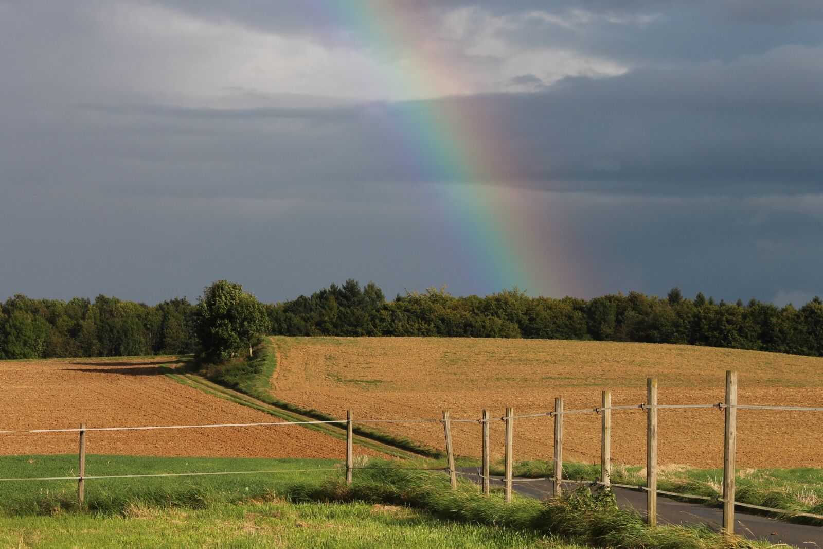 Canon EOS 1100D (EOS Rebel T3 / EOS Kiss X50) sample photo. Rainbow, sky, fields photography