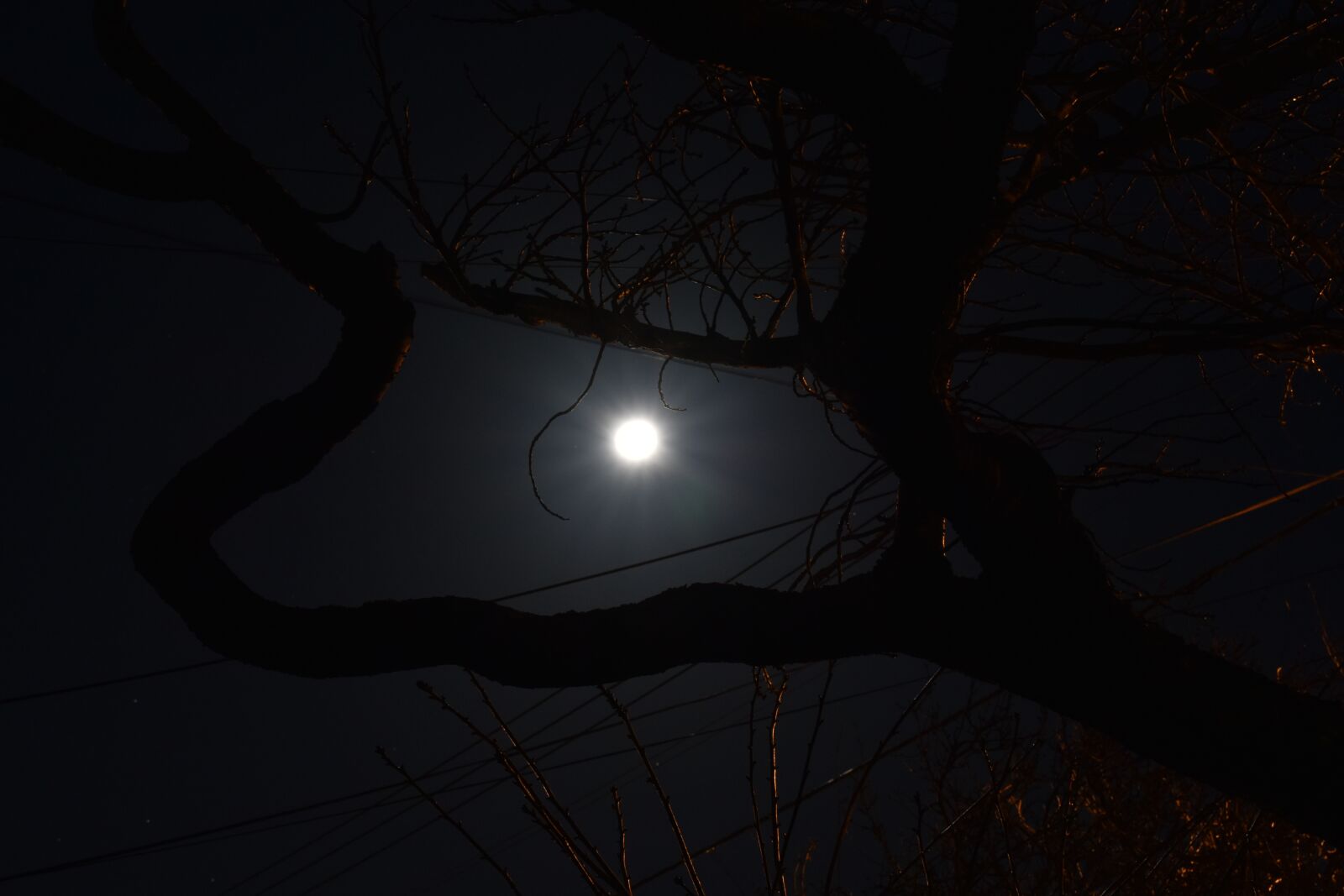 Nikon D3400 sample photo. Night, sky, moon photography