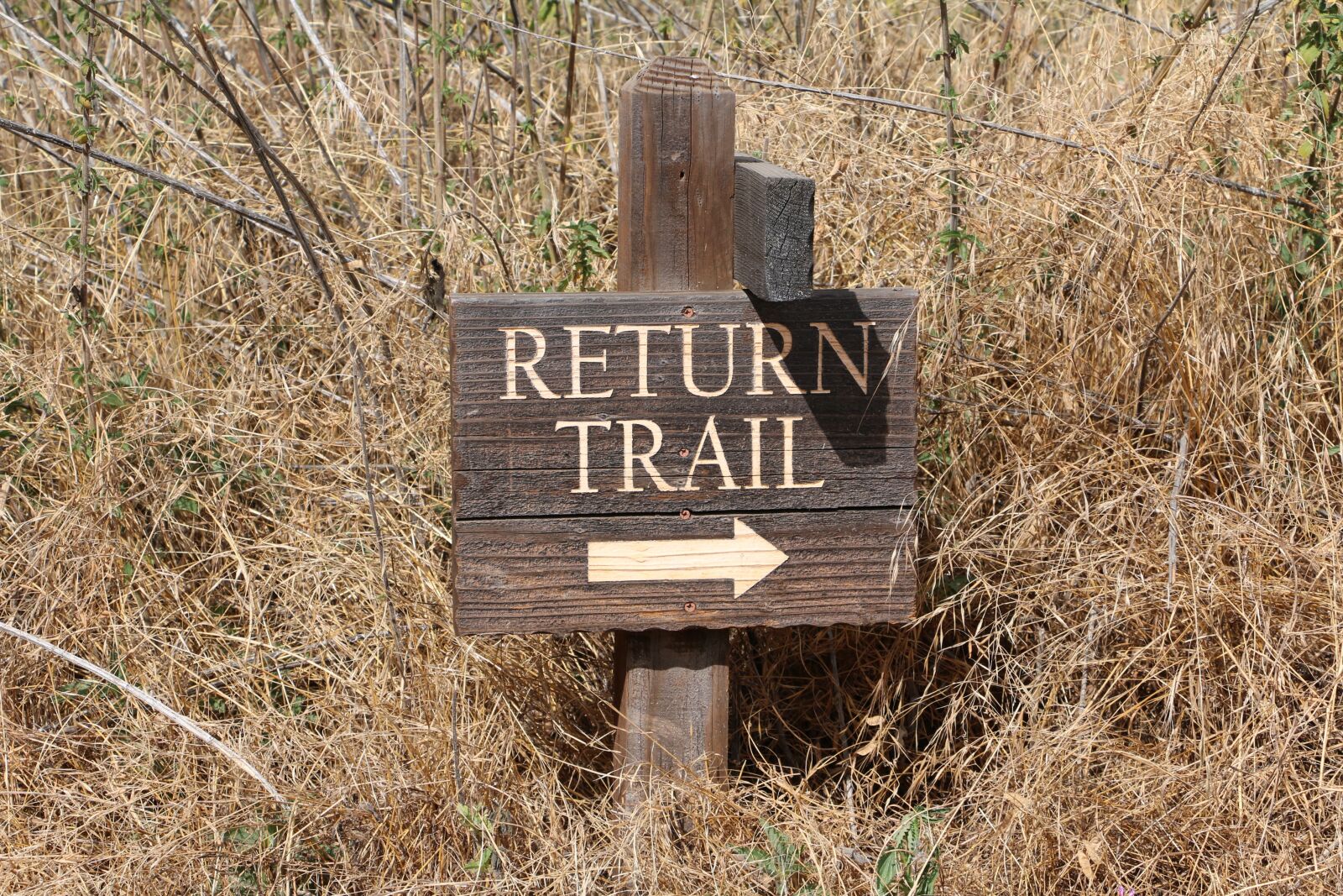 Canon EOS 70D sample photo. Trail, hiking, path photography