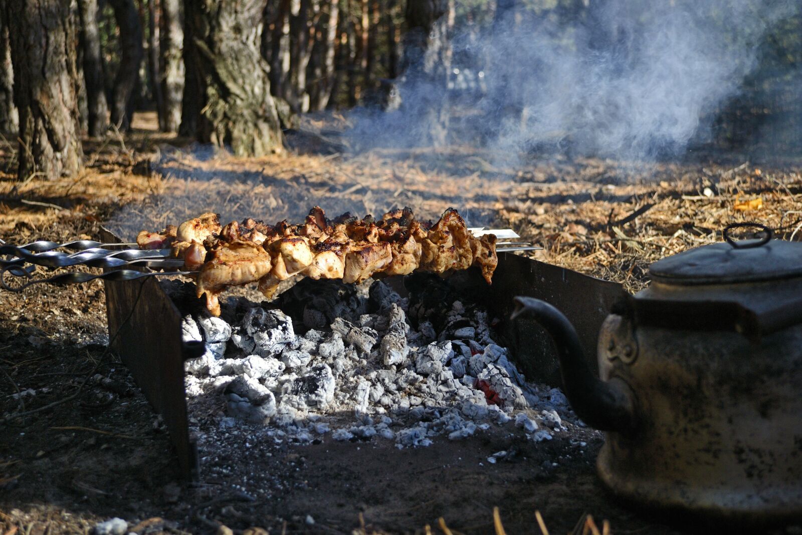 Nikon D3100 sample photo. Shish kebab, autumn, picnic photography
