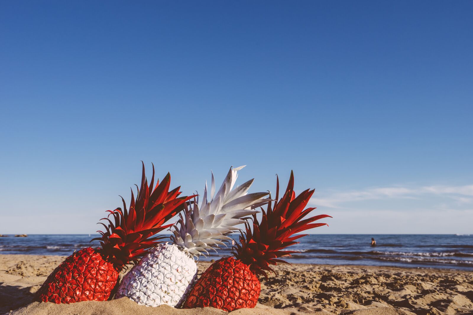 Sony a7 II + Sony Vario-Tessar T* FE 16-35mm F4 ZA OSS sample photo. Beach, fruits, ocean photography