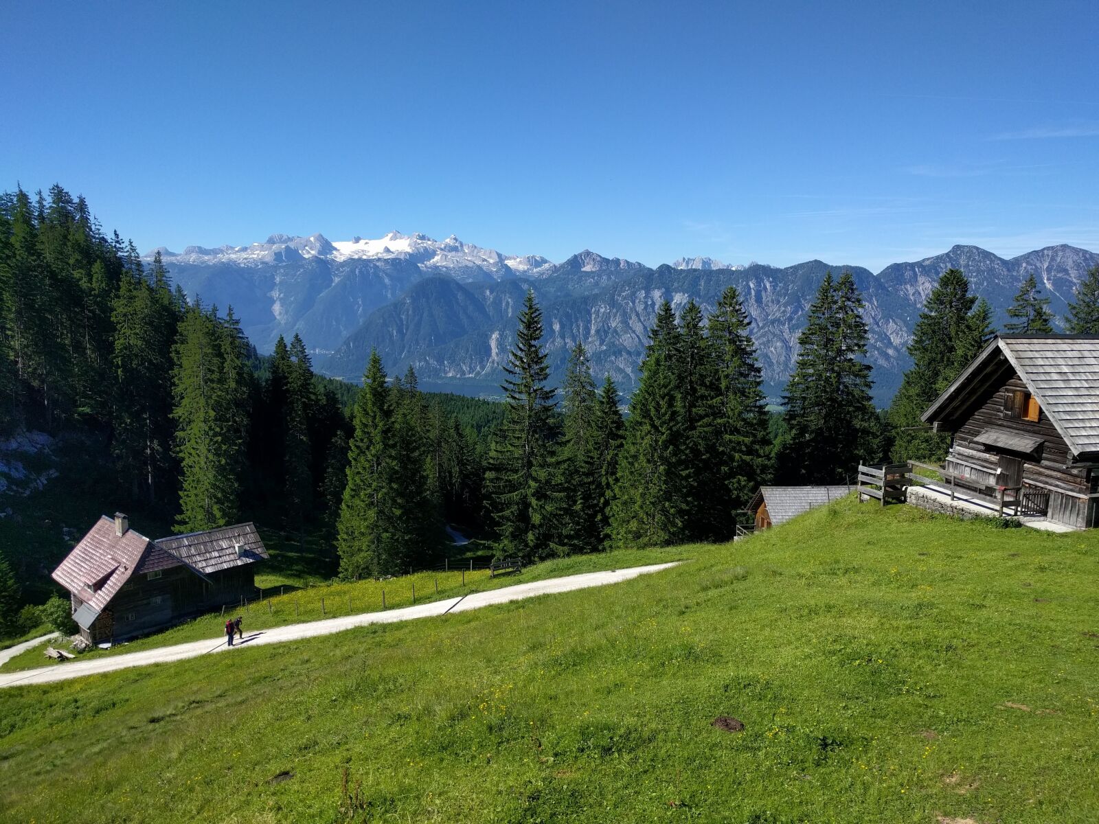 LG Nexus 5X sample photo. Alm, hiking, alpine photography
