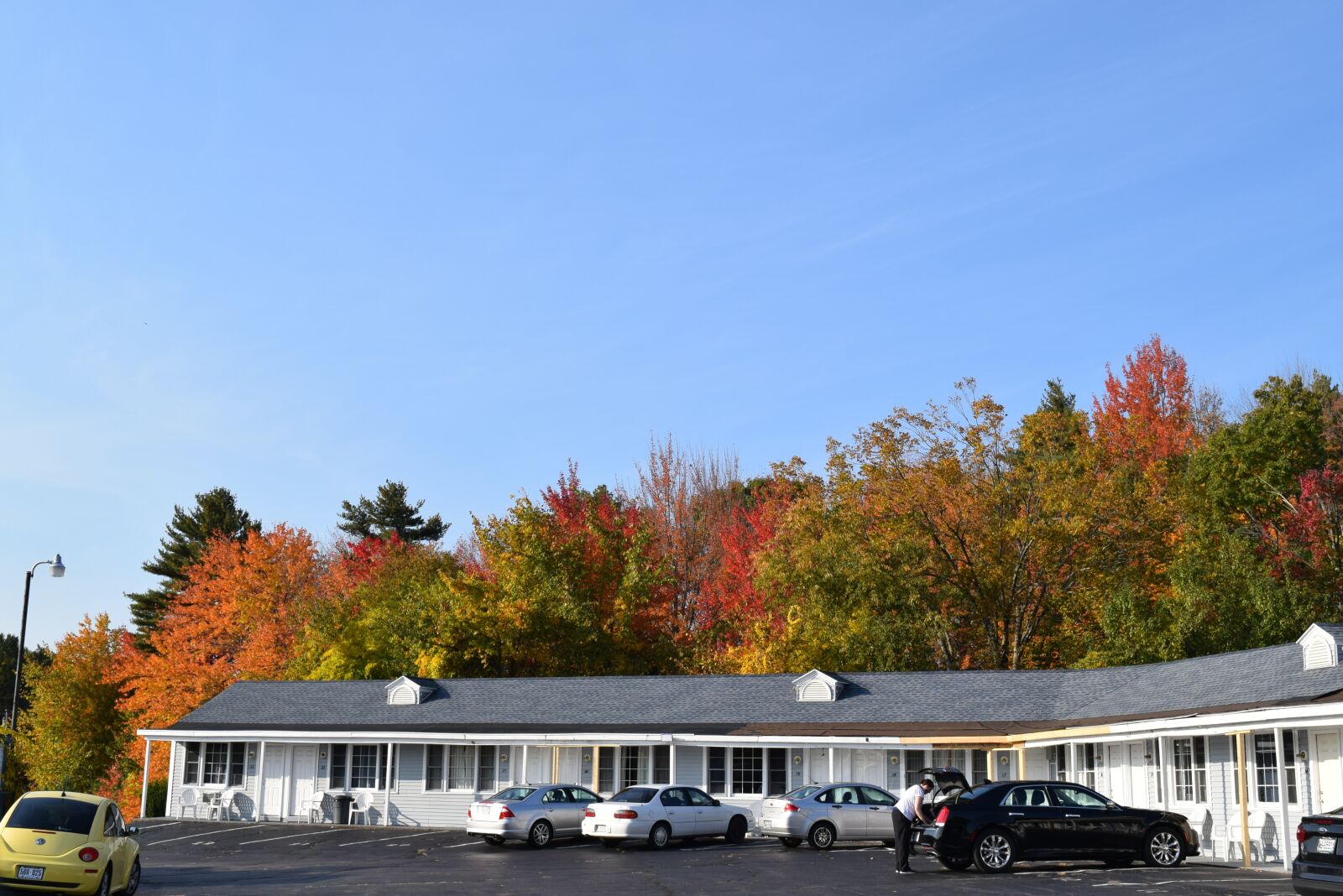 Nikon D3300 sample photo. Nature, fall, autumn photography