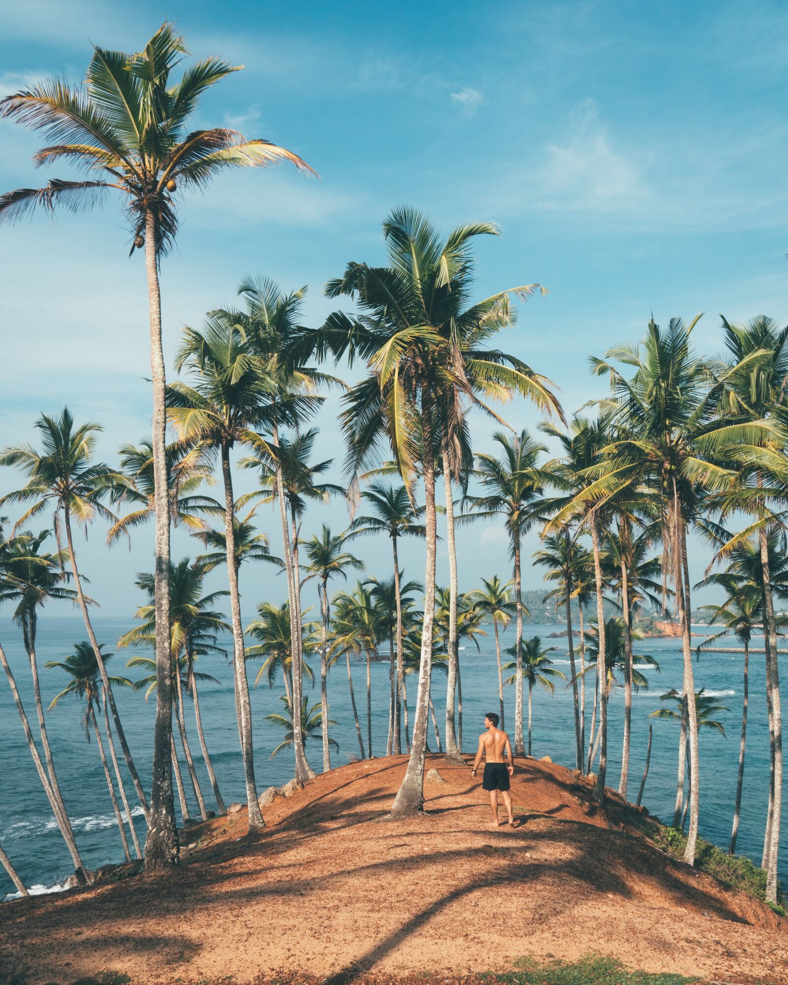 Sony a6500 + Sony Vario-Tessar T* E 16-70mm F4 ZA OSS sample photo. Palm, tropical, beach photography