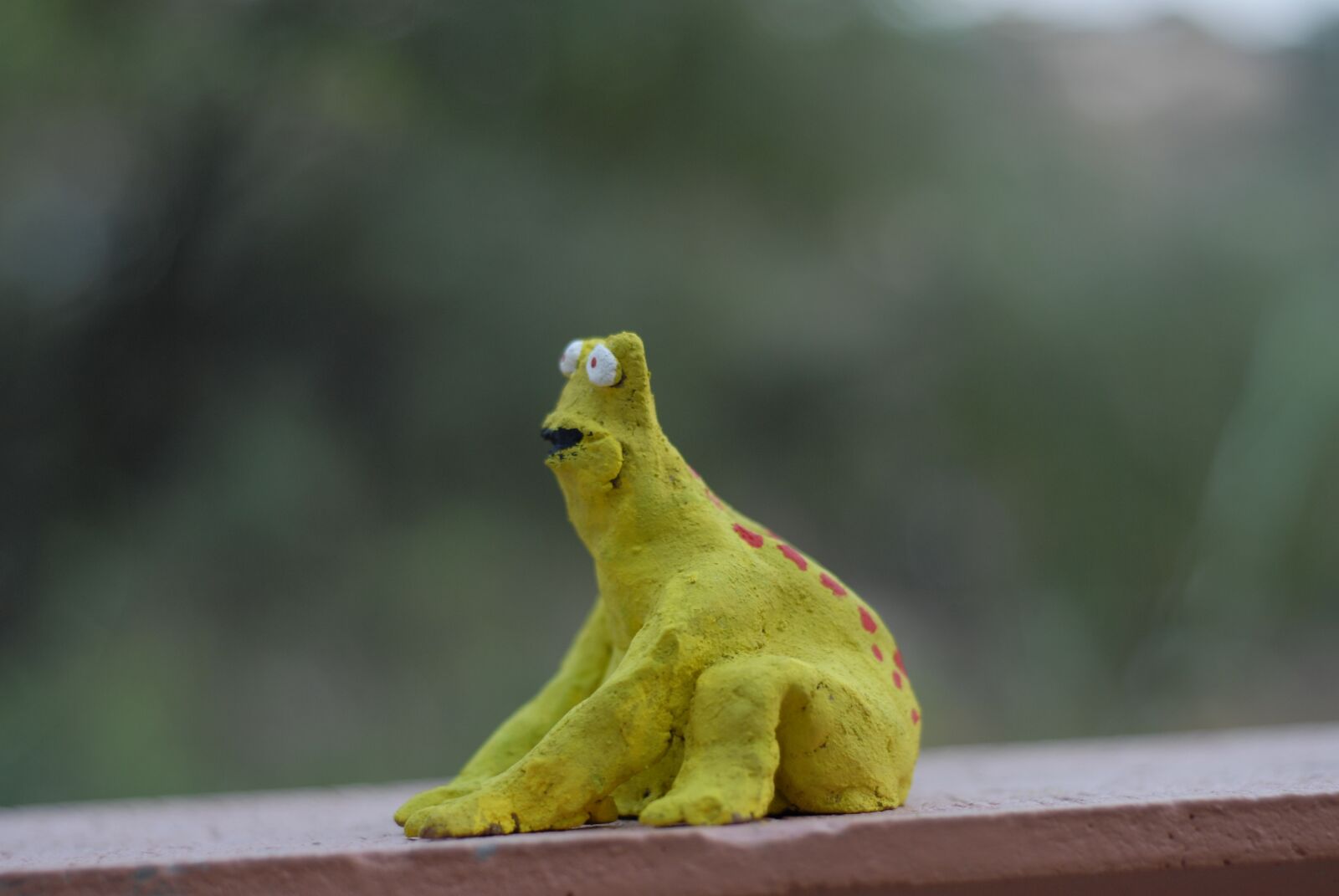 Nikon D200 sample photo. Crafts, toad, tlapa de photography