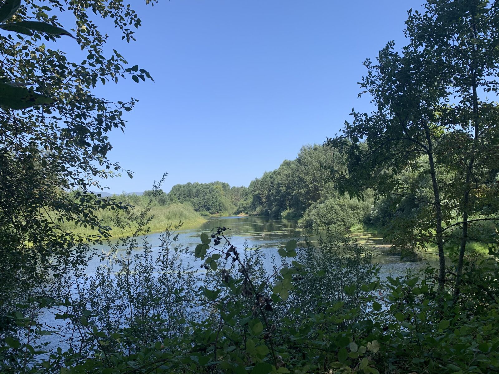 iPhone XR back camera 4.25mm f/1.8 sample photo. River, oregon, hike photography
