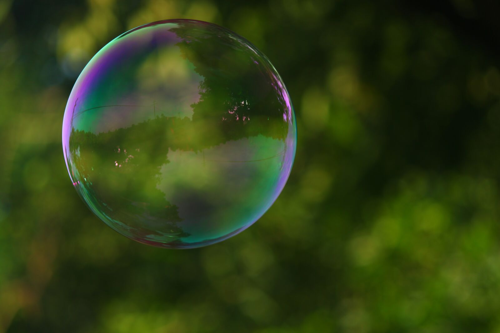 Canon EOS 700D (EOS Rebel T5i / EOS Kiss X7i) sample photo. Bubble, park, soap photography