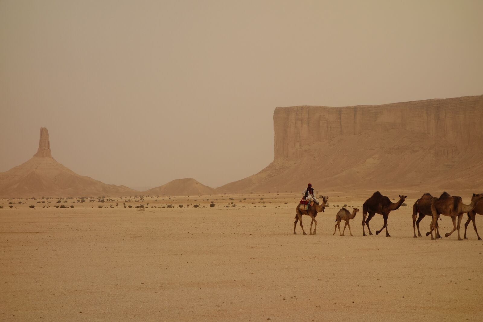Sony Cyber-shot DSC-RX100 sample photo. Camel train, saudi arabia photography