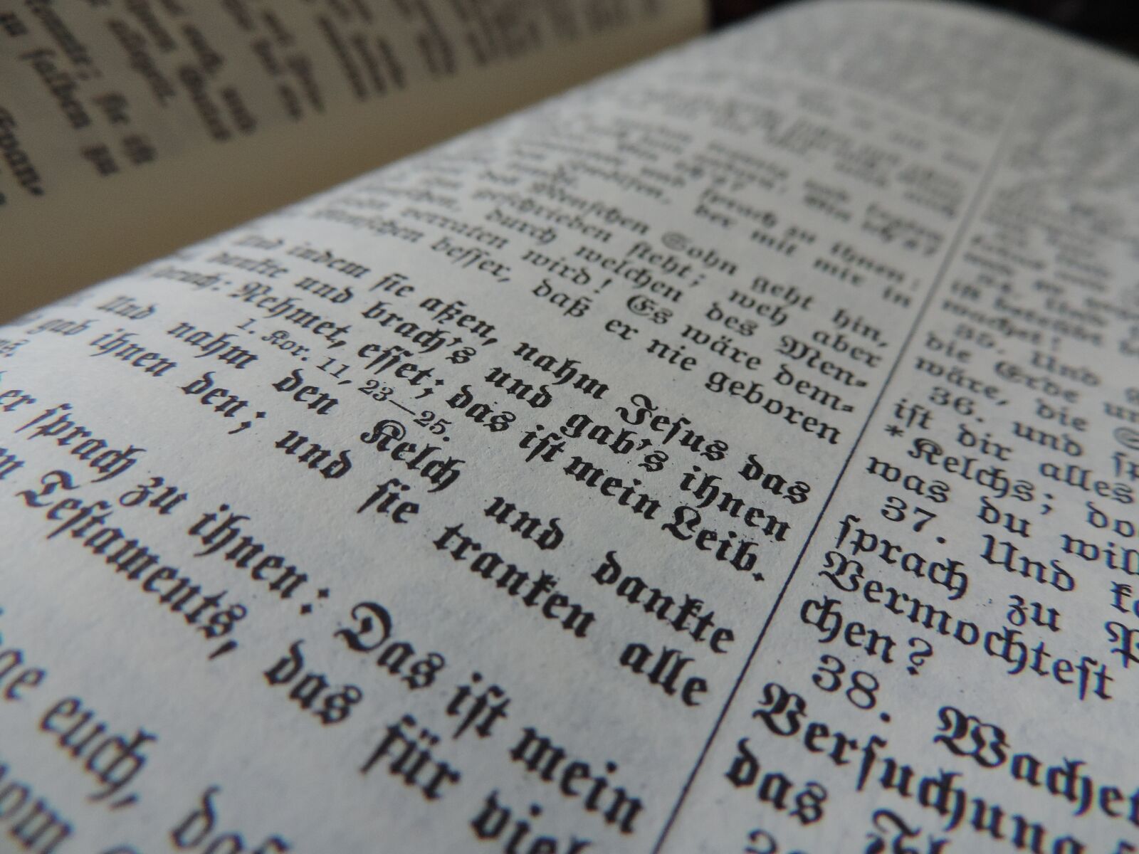 Nikon Coolpix P520 sample photo. Bible, book of books photography