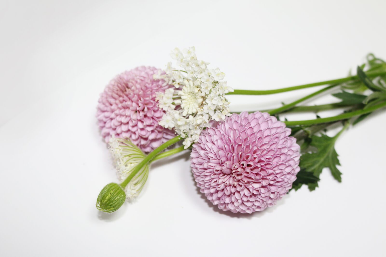 Canon EOS 70D sample photo. Flowers, nature, wedding photography