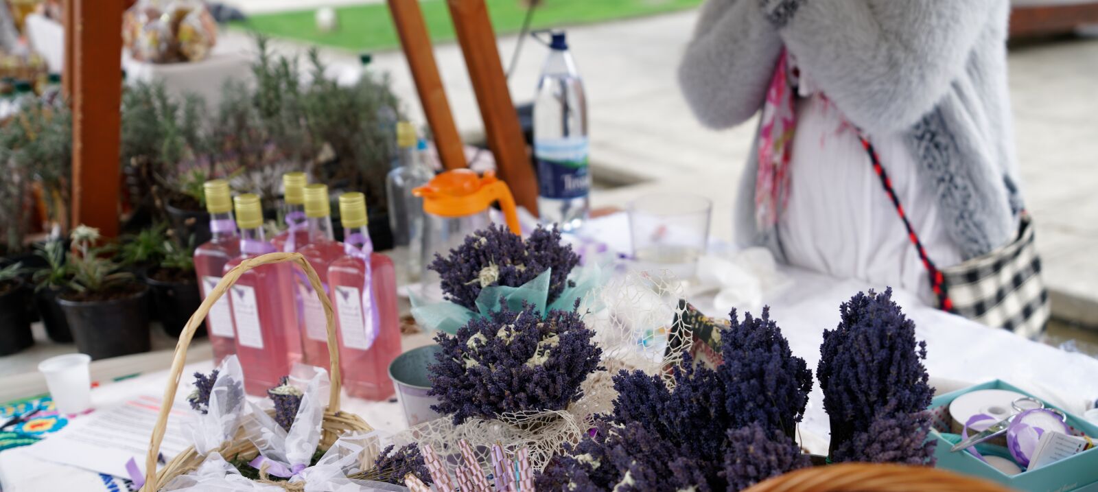Sony a7R II sample photo. Lavender, fresh, aromatherapy photography