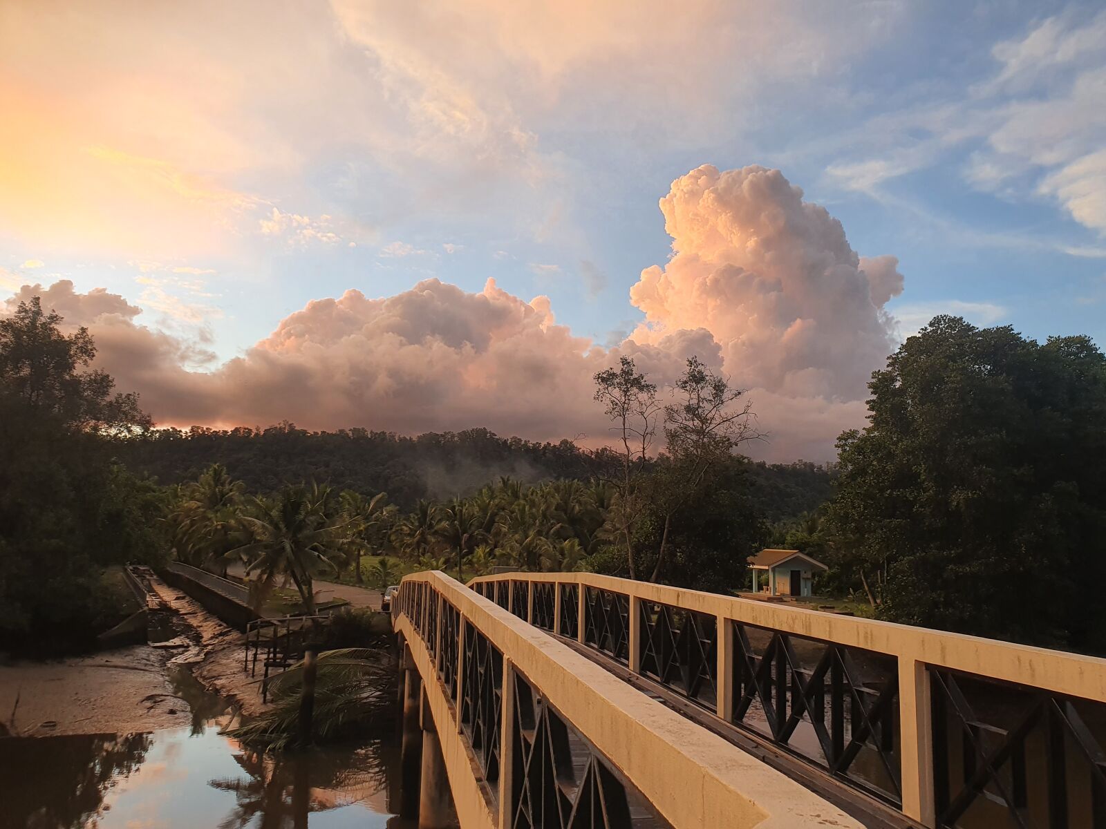 Samsung Galaxy S10 sample photo