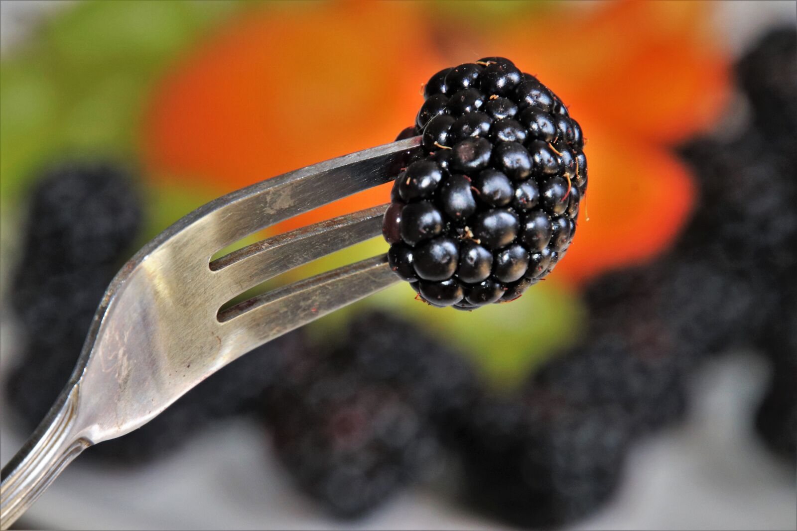 Canon EOS 80D sample photo. Fork, fruit, bio photography