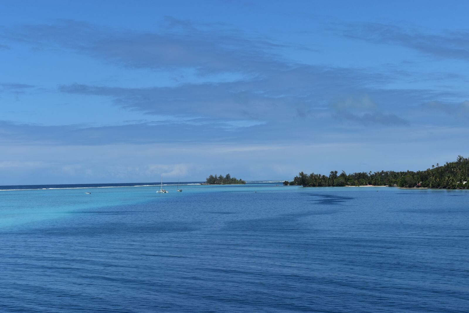 Nikon D5500 sample photo. Tahiti, polynesia, nature photography