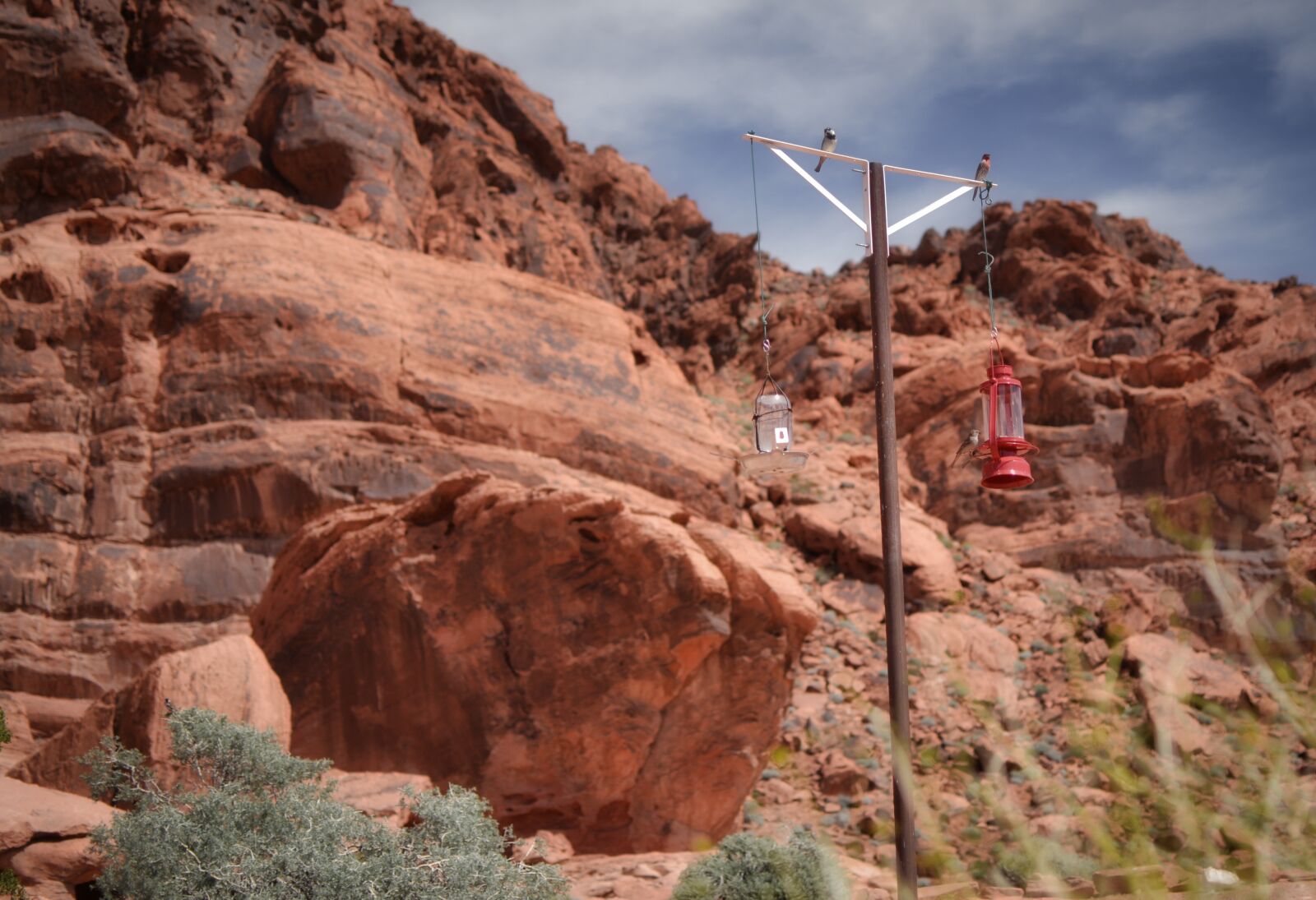 Nikon D3100 sample photo. Bird bath, desert, rock photography