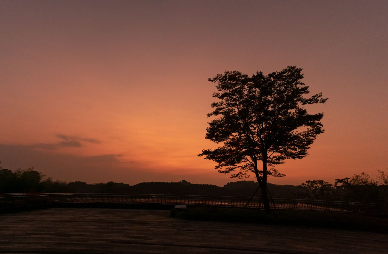 Nikon D3400 sample photo. Tree, silhouette, sunset photography
