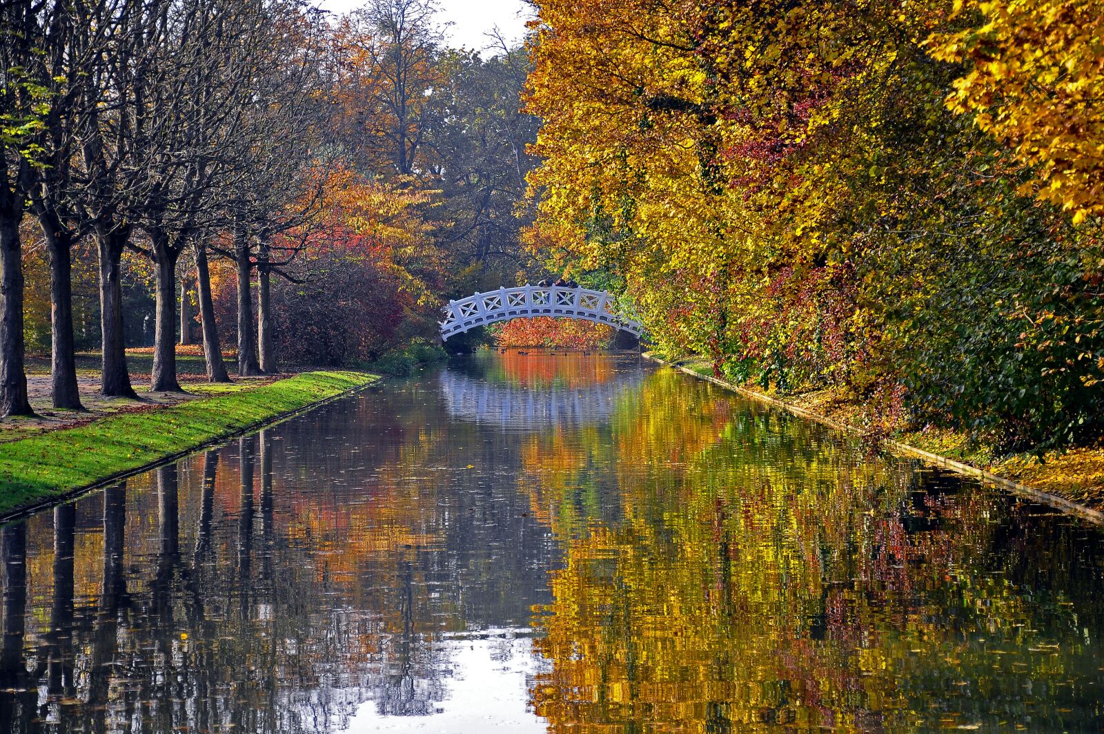Nikon D90 sample photo. Autumn, castle park, fall photography